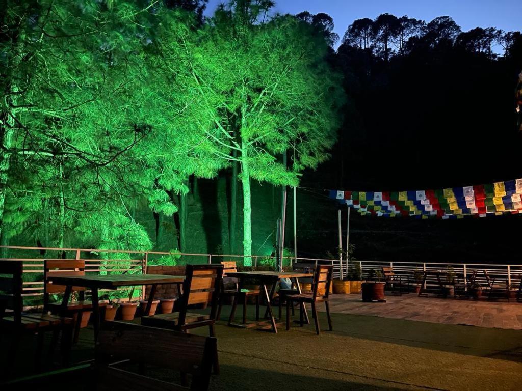 Hillcrest Heights Bed & Breakfast Kasauli Exterior foto