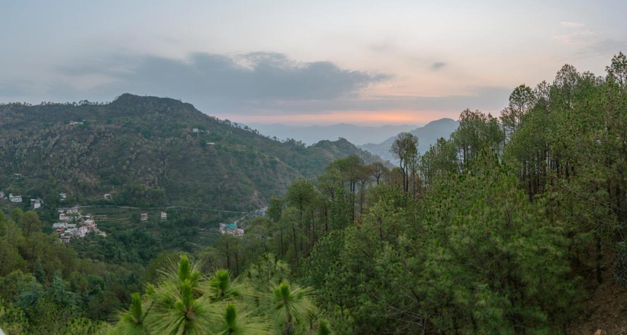 Hillcrest Heights Bed & Breakfast Kasauli Exterior foto