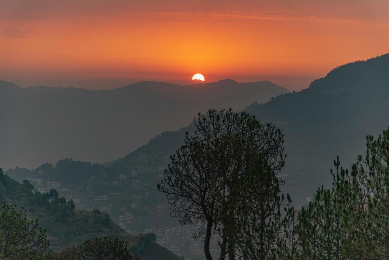Hillcrest Heights Bed & Breakfast Kasauli Exterior foto